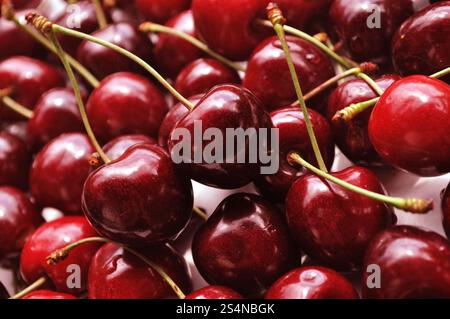 Ciliegie. Primo piano frutta fresca di ciliegia - sfondo Foto Stock