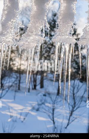 Una splendida scena invernale con ghiaccioli appesi agli alberi. I ghiaccioli sono lunghi e appuntiti, creando un senso di meraviglia e stupore. Il riflesso della luce solare Foto Stock