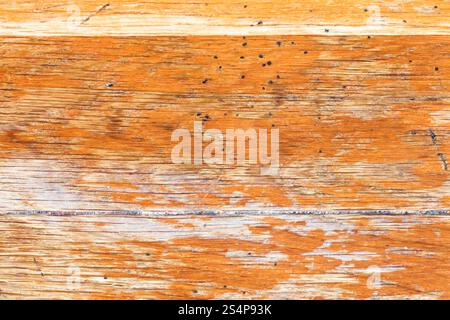 Lo sfondo da old bog oak board close up Foto Stock