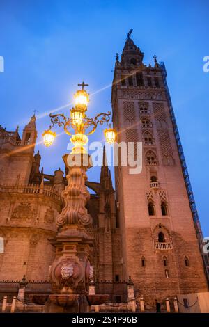 Campanile la Giralda della Cattedrale di Siviglia e lampada a fontana di notte a Siviglia, Andalusia, Spagna. Foto Stock