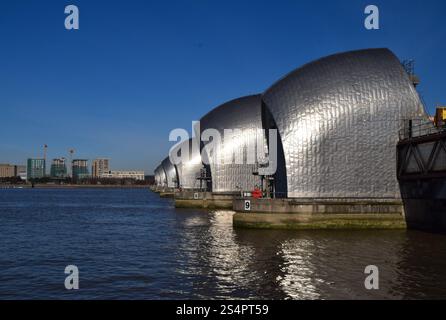 Londra, Regno Unito. 3 febbraio 2019. Thames Barrier in una giornata soleggiata e limpida. Credito: Vuk Valcic/Alamy Foto Stock