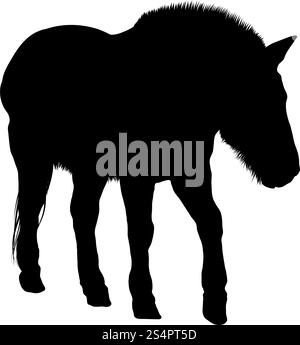 Silhouette di cavallo. Altamente dettagliata Design liscio. Illustrazione Vettoriale. Illustrazione Vettoriale