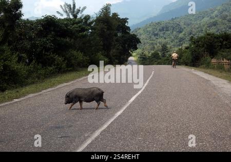 Un portico su una strada vicino al villaggio di Kasi sulla strada nazionale 13 sulla strada statale 13, sulla strada che va da Vang Vieng a Luang Prabang in Lao, nella zona sud-est-est-asiatica. ASIA LAO VANG Foto Stock