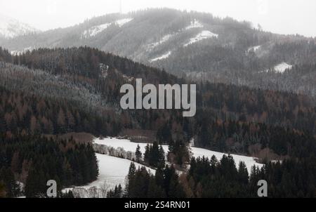 Paesaggio di alberi che crescono su alte montagne coperte di neve Foto Stock