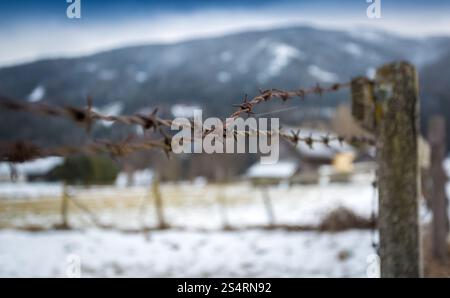 Primo piano di filo spinato sulla staccionata in legno sul campo coperto di neve Foto Stock