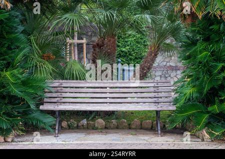 Panca vuota e palme per ventilatori in un parco pubblico, celle Ligure, Liguria, Italia Foto Stock