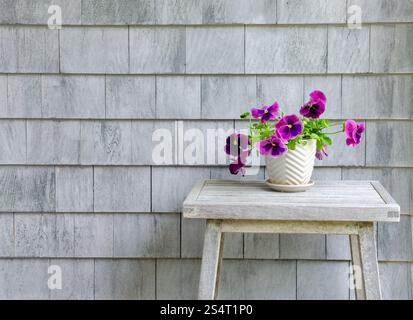 Pianta di pansia viola, Viola wittrockiana, in pentola su tavola di legno adagiata contro l'herpes zoster grigio Foto Stock