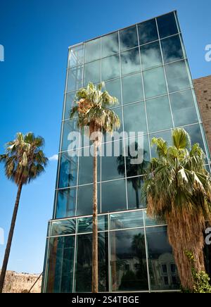 Bellissima vista di alte palme riflettendo in windows dei grattacieli Foto Stock