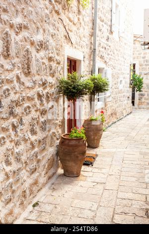 Colpo all'aperto di due alberi in vasi crescono sui lati della porta nella parete di pietra Foto Stock