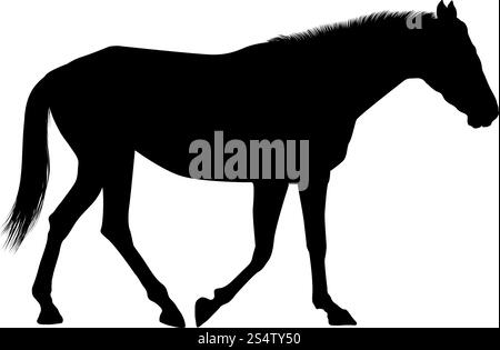 Silhouette di cavallo. Estremamente dettagliata e fluida. Illustrazione vettoriale. silhouette di cavalli Illustrazione Vettoriale