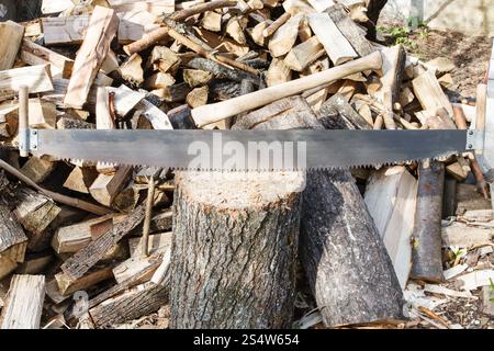 Due trattati visto e ax nel blocco di trinciatura, catasta di legna da ardere sul cortile rustico Foto Stock