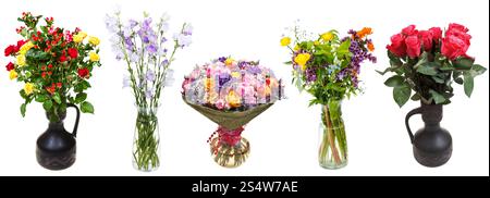 Set di mazzi di fiori in vasi isolati su sfondo bianco Foto Stock