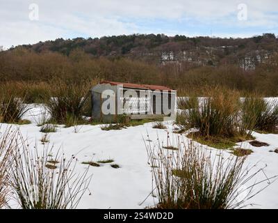 Gabbia rustica per l'alimentazione del bestiame immersa in un paesaggio innevato e erboso vicino a una collina boscosa. Foto Stock