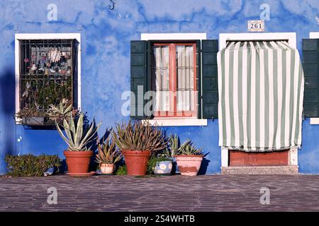 Colorata facciata blu della casa con piante e una porta a strisce che copre l'isola di Burano vicino a Venezia Foto Stock