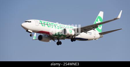 Tenerife, Spagna 5 gennaio 2025. Il Boeing 737-86N Transavia France Airlines vola nel cielo blu. Atterraggio all'aeroporto di Tenerife Foto Stock