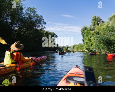 Vista in prima persona di un gruppo di persone in kayak attraverso Mercer Slough nello stato di Washington in estate. Foto Stock