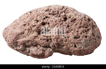 Pebble dal marrone pietra pomice naturale di pietra vulcanica isolati su sfondo bianco Foto Stock