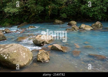 Provincia di Alajuela, Costa Rica - 19 novembre 2024 - il fiume Celeste nel Parco Nazionale del Vulcano Tenorio Foto Stock