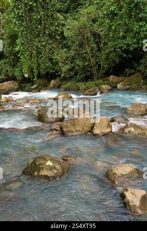 Provincia di Alajuela, Costa Rica - 19 novembre 2024 - il fiume Celeste nel Parco Nazionale del Vulcano Tenorio Foto Stock