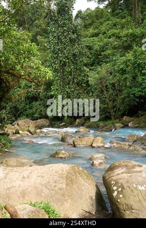 Provincia di Alajuela, Costa Rica - 19 novembre 2024 - il fiume Celeste nel Parco Nazionale del Vulcano Tenorio Foto Stock