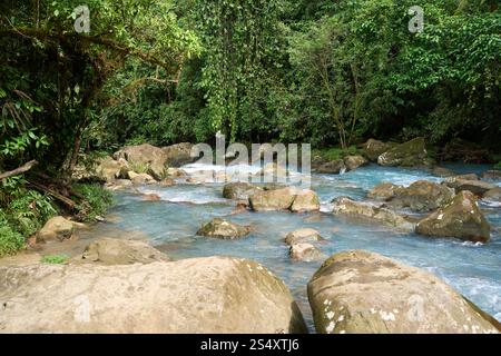 Provincia di Alajuela, Costa Rica - 19 novembre 2024 - il fiume Celeste nel Parco Nazionale del Vulcano Tenorio Foto Stock