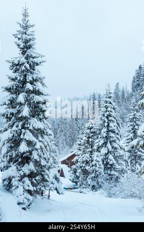 Casa in legno e colorata alveari con il cumulo di neve su tetti in inverno bosco di abeti (Ucraina, dei Carpazi). Foto Stock