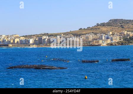 Pontili galleggianti, baia di St Paul, Malta Foto Stock