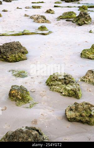 Viaggiare a Algarve Portogallo - le rocce calcaree in sabbia sulla spiaggia Praia Maria Luisa vicino alla città di Albufeira Foto Stock