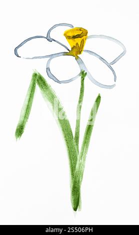 Disegno di formazione in suibokuga sumi-e stile con vernici ad acquerello - narciso (jonquil) fiore dipinto a mano su carta bianca Foto Stock