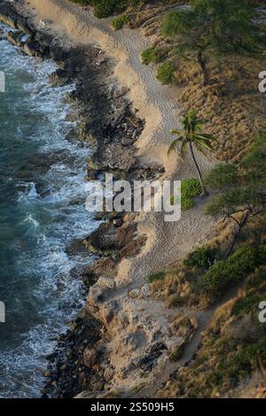 Vista aerea di una costa rocciosa hawaiana su Oahu con sabbia dorata, vegetazione lussureggiante e una singola palma, catturando la bellezza tropicale del Pacifico Foto Stock