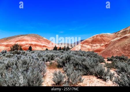 Painted Hills, Oregon Foto Stock