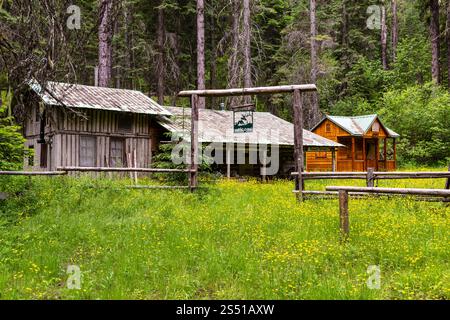 Capanne rustiche in legno in un'area forestale circondata da vegetazione lussureggiante, Eagle Cap Wilderness, Oregon Foto Stock