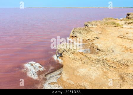 Rosa estremamente salato Lago Syvash, colorato da microalghe. Noto anche come Mare dei putridi o Mare dei Rotten. Ucraina, regione di Kherson, vicino Crimea e Arabat Foto Stock