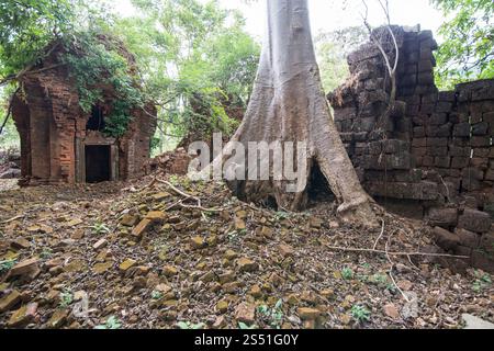 Il Tempio Khmer di Prasat Neak Buos a est della città di Sra Em a nord della città di Preah Vihear, nella Cambogia di Northwaest. Cambogia, Sra Em, novembre, Foto Stock