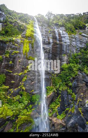 Cascata nel paesaggio del lago Milford Sound, nuova Zelanda. Cascata nel lago Milford Sound, nuova Zelanda Foto Stock