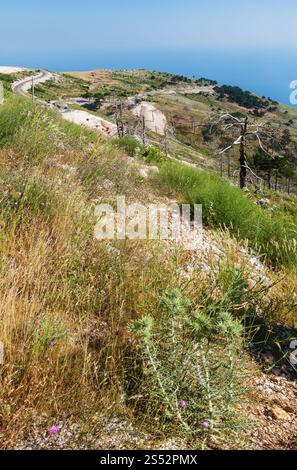 Vista del passo estivo di Llogara con alberi secchi e cardo sul pendio e sulla superficie dell'acqua di mare (Albania) Foto Stock