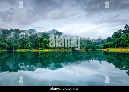 Mattina nebbiosa sul lago Cheow LAN nel Parco Nazionale di Khao Sok, Thailandia. Mattina nebbiosa sul lago Cheow LAN, Parco Nazionale Khao Sok, Thailandia Foto Stock