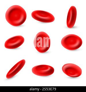 Eritrociti umani, set vettoriale microscopico di globuli rossi 3d isolato su sfondo bianco. Globuli rossi, microbiologia salute illustrazione umana. Eritrociti umani, set vettoriale microscopico di globuli rossi 3d isolato su sfondo bianco Illustrazione Vettoriale
