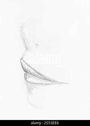 Schizzo di naso umano e le labbra close up disegnati a mano dalla matita nera su carta bianca Foto Stock