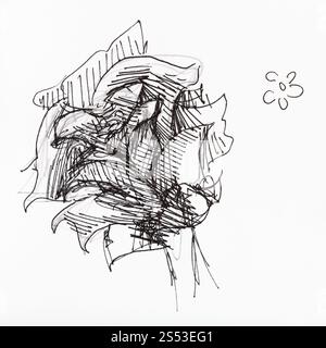 Schizzo di fiore disegnati a mano con inchiostro nero su carta bianca Foto Stock