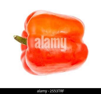 Vista laterale del frutto maturo di peperone rosso (Sweet Pepper, capsicum) isolato su sfondo bianco Foto Stock