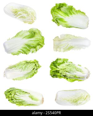 Vari capi e foglie di cavoli Napa (cinese Brassica rapa pekinensis, hakusai, baechu) isolato su sfondo bianco Foto Stock