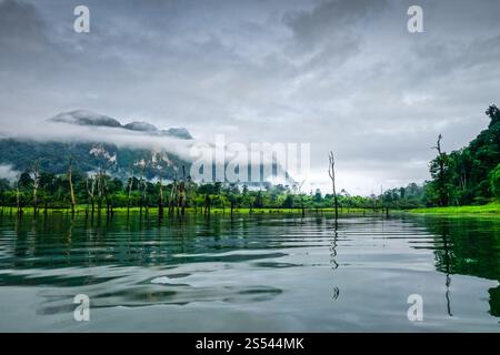 Mattina nebbiosa sul lago Cheow LAN nel Parco Nazionale di Khao Sok, Thailandia. Mattina nebbiosa sul lago Cheow LAN, Parco Nazionale Khao Sok, Thailandia Foto Stock