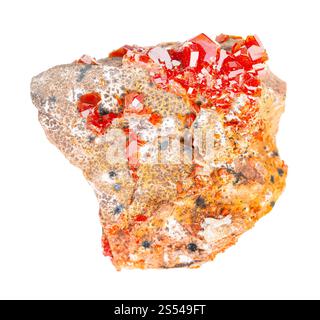 primo piano di un campione di minerale naturale proveniente dalla raccolta geologica - cristalli grezzi di vanadinite su roccia isolati su sfondo bianco. Ruvida vanadinite Foto Stock