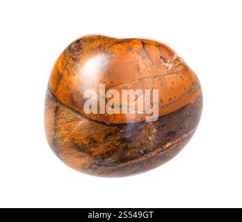 primo piano di un campione di minerale naturale proveniente dalla collezione geologica - gemma Tiger-eye isolata su sfondo bianco. Gemma Tiger-eye isolata Foto Stock