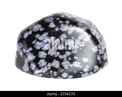 primo piano di un campione di minerale naturale proveniente dalla collezione geologica - gioiello di ossidiana Snowflake lucidato isolato su sfondo bianco. Fiocco di neve lucido Foto Stock