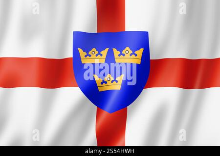 East Anglia Region flag, Regno Unito collezione di striscioni ondulanti. Illustrazione 3D. Bandiera della regione dell'Anglia orientale, Regno Unito Foto Stock