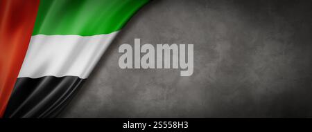 Bandiera degli Emirati Arabi Uniti su un muro di cemento. Striscione panoramico orizzontale. Illustrazione 3D. Bandiera degli Emirati Arabi Uniti su striscione da parete in cemento Foto Stock