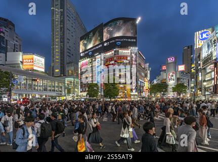 Incrocio di Shibuya di notte, Tokyo, Giappone, Asia Foto Stock