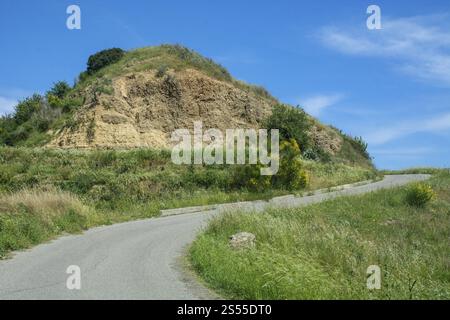 Strada nel paesaggio di Anglona, Policoro, Matera, Basilicata, Italia, Europa meridionale, Europa Foto Stock